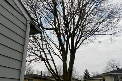 Howe Tree Removal