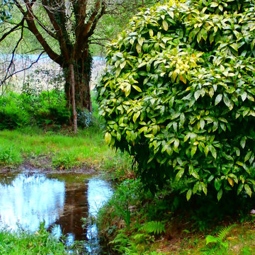 Jardín de Basi