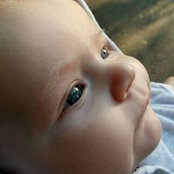 Steluta Andrei's photo