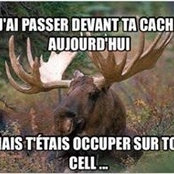 Mic Rousseau's photo