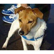 Vesta P. Smith's photo