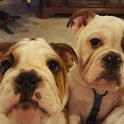 Jo Coburn's photo