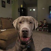Foto de Leslie Eldridge Baumgardner
