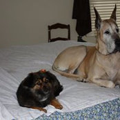 Wende Kurk's photo