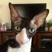 Betsy Matthews's photo