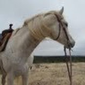 Laurie Van Heukelem's photo