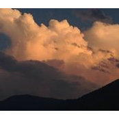 Dawlat Khalil's photo