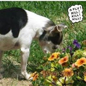 Deborah Goodwin Poulin's photo