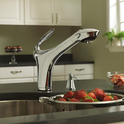 Danze Corsair Single Handle Pull-Down Kitchen Faucet - Kitchen Faucets