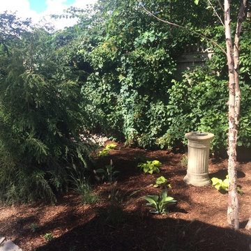 Woodland Garden Design Install