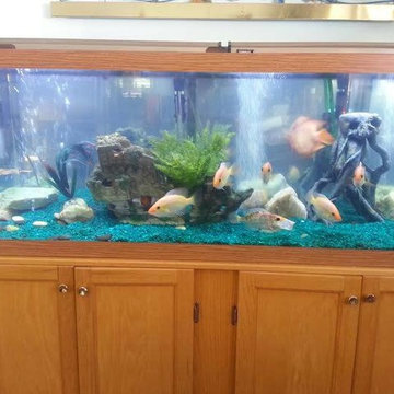 Aquarium for an office