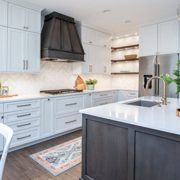 Highlands Ranch Sleek Transitional Kitchen