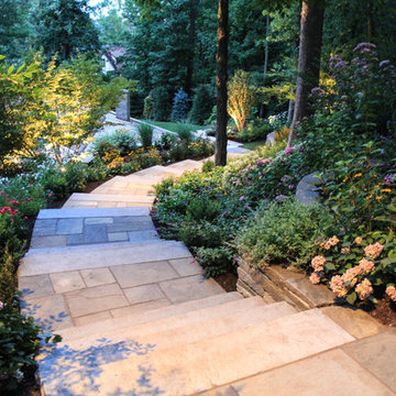 Backyard Escape