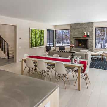 Aspens Mountain Modern