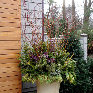 Container Planting Designs