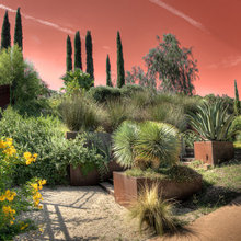 Landscaping_outdoor living