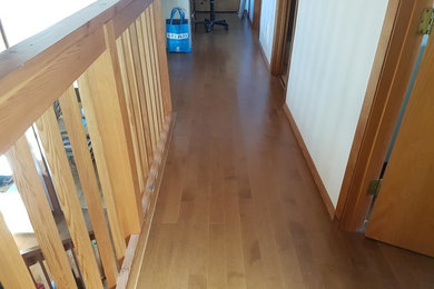 Elegant medium tone wood floor hallway photo in Toronto
