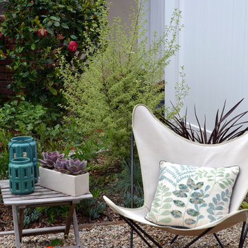 San Clemente Hummingbird Garden