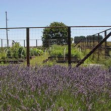 Garden fence