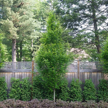 Gardens and Planting Design