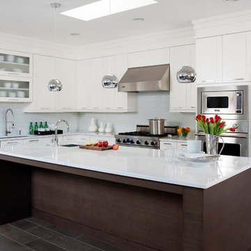 Sleek Transitional Kitchen