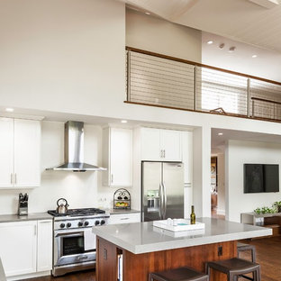 Volume Ceiling Houzz