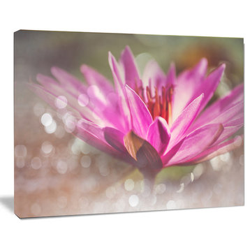 Pink Lotus on Abstract Background, Floral Canvas Art Print, 20"x12"