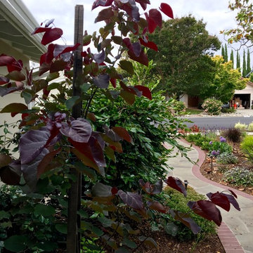 From Weeds to Welcome Home!