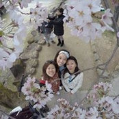 Phoebe Lim's photo