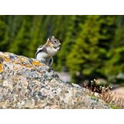 Eric Tessier's photo