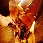 Amber Wilsons foto