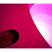 Patrick Liu's photo