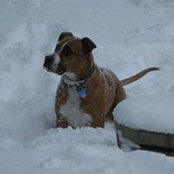 David Litton's photo