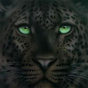 Mona Eid's photo