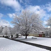 Brian Heichel's photo