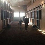 Sarah Corey's photo
