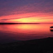 Amy Monroe's photo