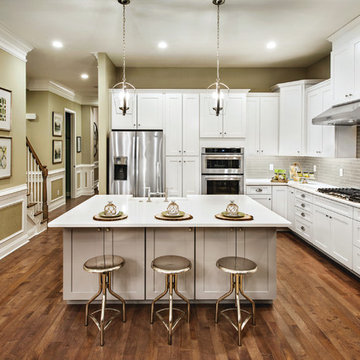 Transitional Kitchen