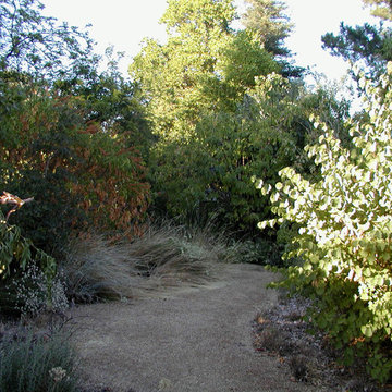 Natomas Backyard Bird Sanctuary