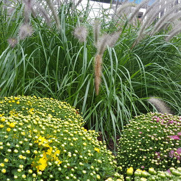 Fall Flower Installs