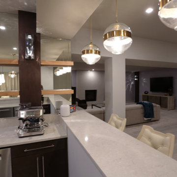 Philadelphia Eagles Lower Level Lounge