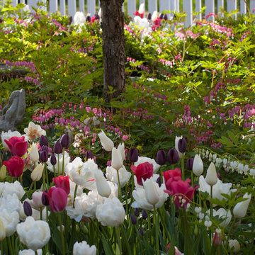 Spring Bulb Garden
