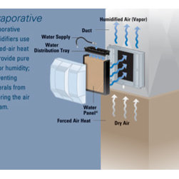 Humidifiers & Air Cleaners - Home Improvement