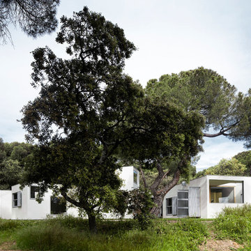 MO House