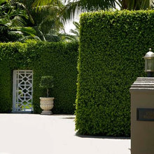 Exterior Ideas
