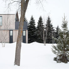 blue dog exterior