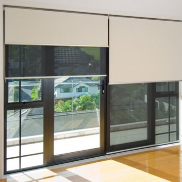 Roller Shades