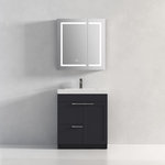 Blossom - Freestanding Bathroom Vanity With Top Mount Sink, Charcoal, 30'' Acrylic Sink - Features