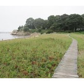 Foto von Nonquitt Smithneck