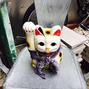Steve Chan's photo